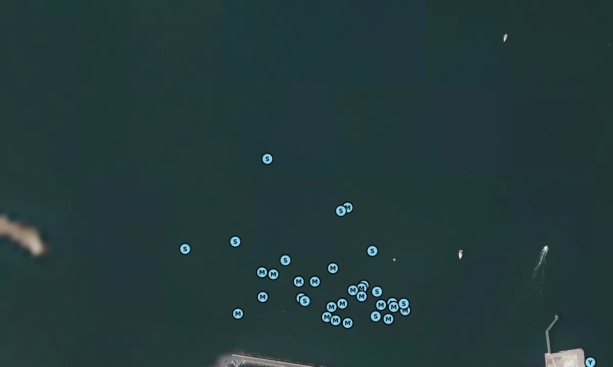 Satelite image of Cherbourg - Petite Rade