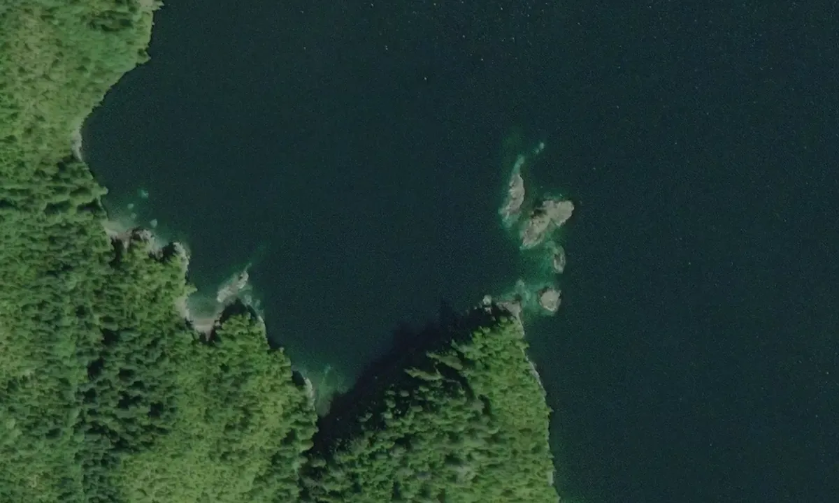 Satelite image of Chettleburgh Point
