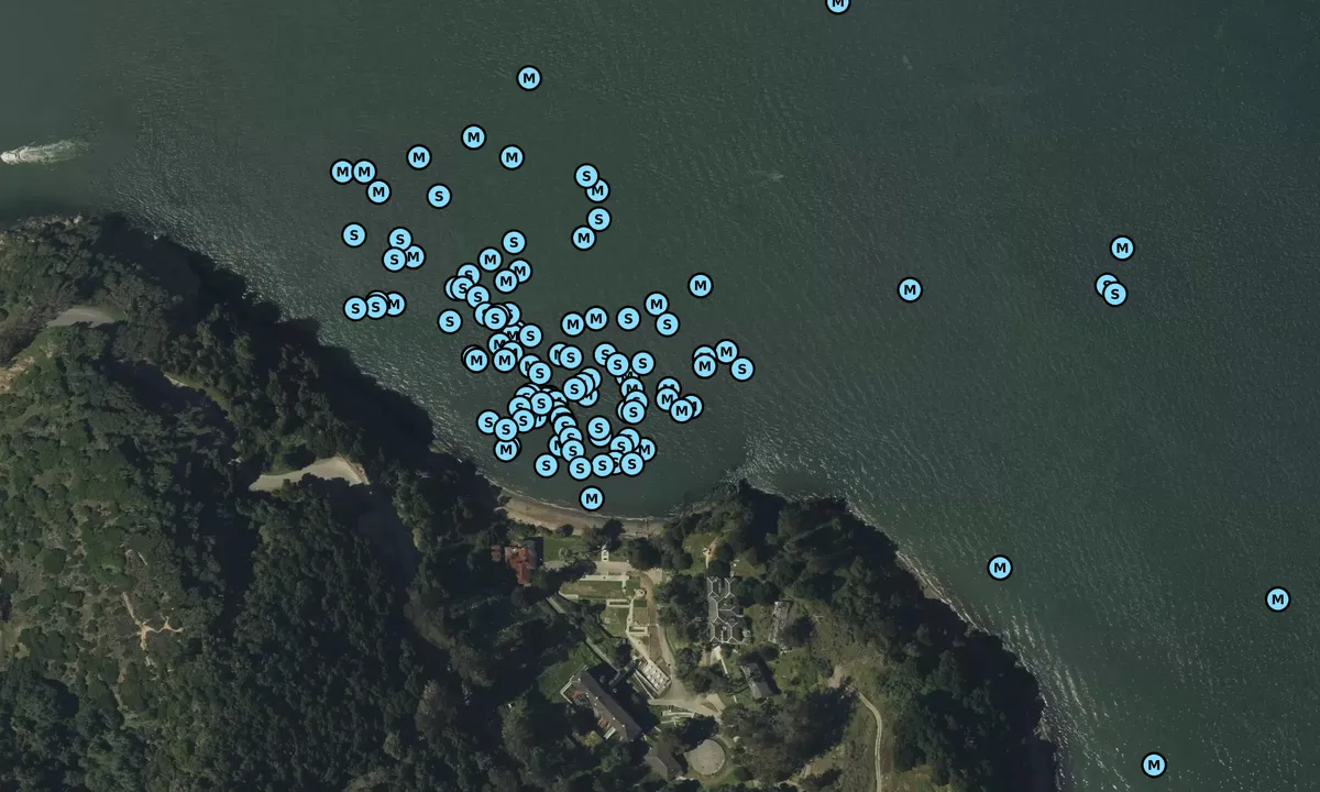 Satelite image of China Cove