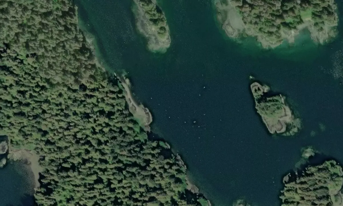 Satelite image of Christmas Cove - Alaska