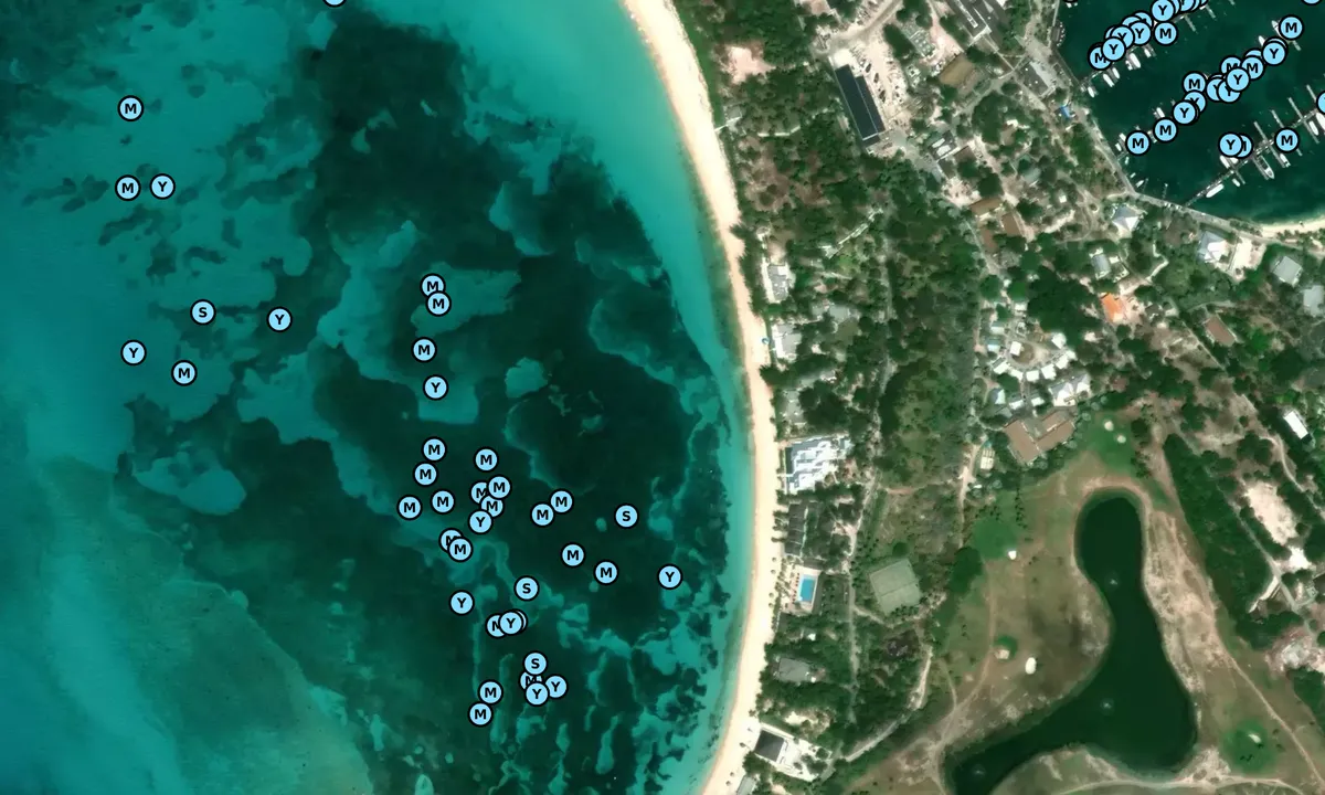 Satelite image of Citrus Haven