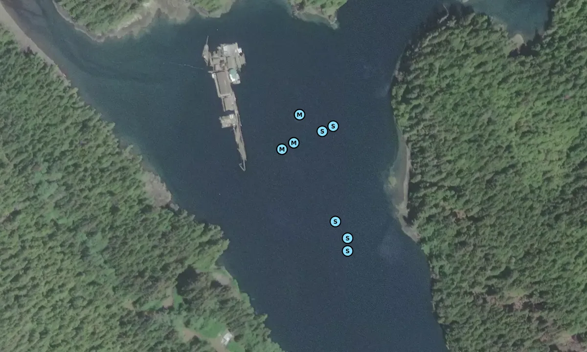Satelite image of Clam Cove 1