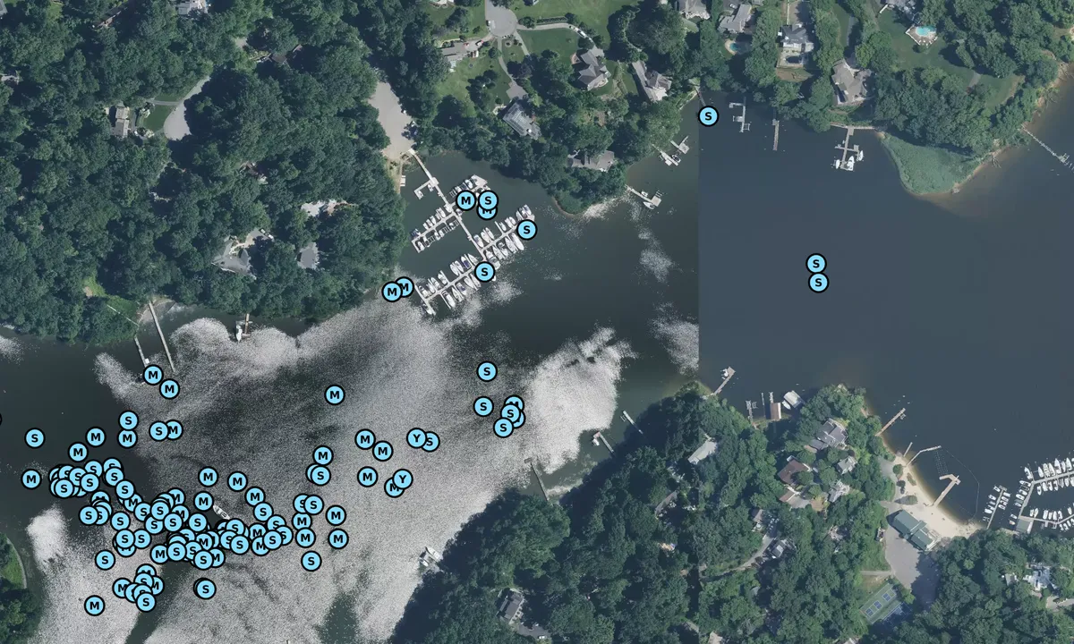 Satelite image of Clements Creek - Navy Mooring