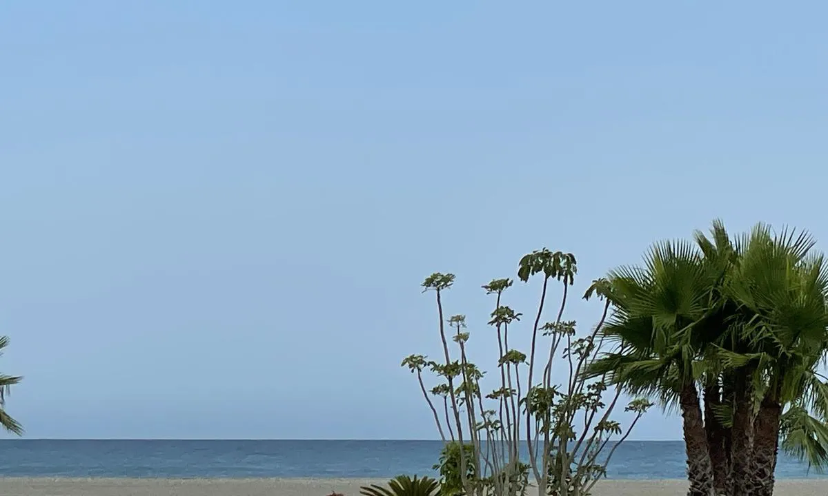 Club Nautico de Motril: {"base": "se", "no": "Langs strandpromenaden", "se": "L\u00e4ngs strandpromenaden", "en": "Along the boardwalk", "da": "Langs strandpromenaden"}