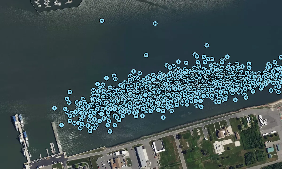 Satelite image of Coast Guard - 1