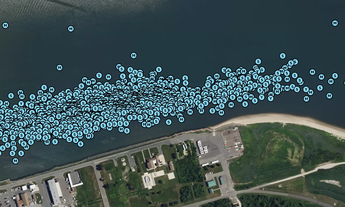 Satelite image of Coast Guard - 2