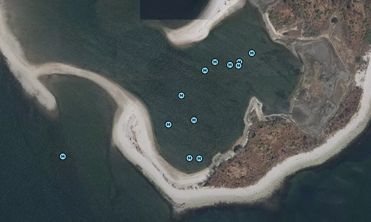 Satelite image of Cockenoe Island Center