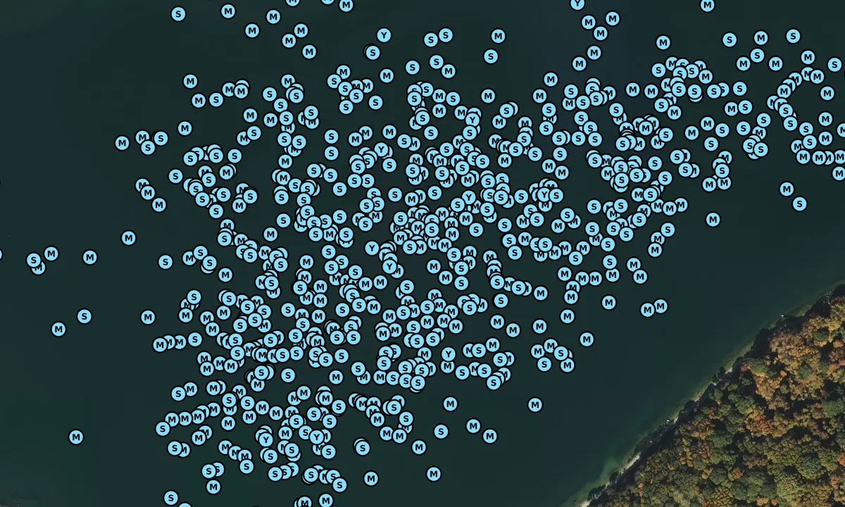 Satelite image of Coecles Harbor