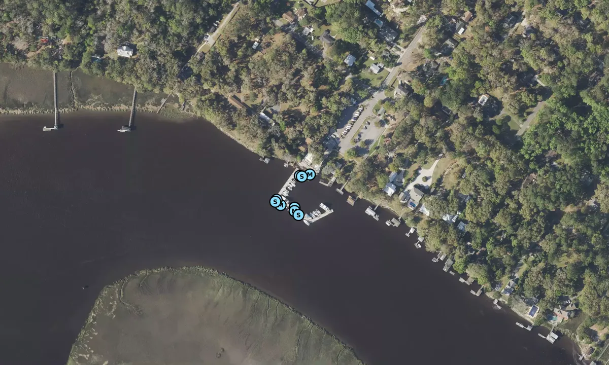 Satelite image of Coffee Bluff Marina - Savannah