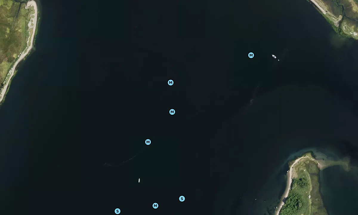 Satelite image of Coggshall Cove