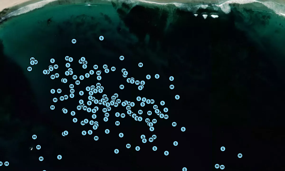 Satelite image of Cojo Bay