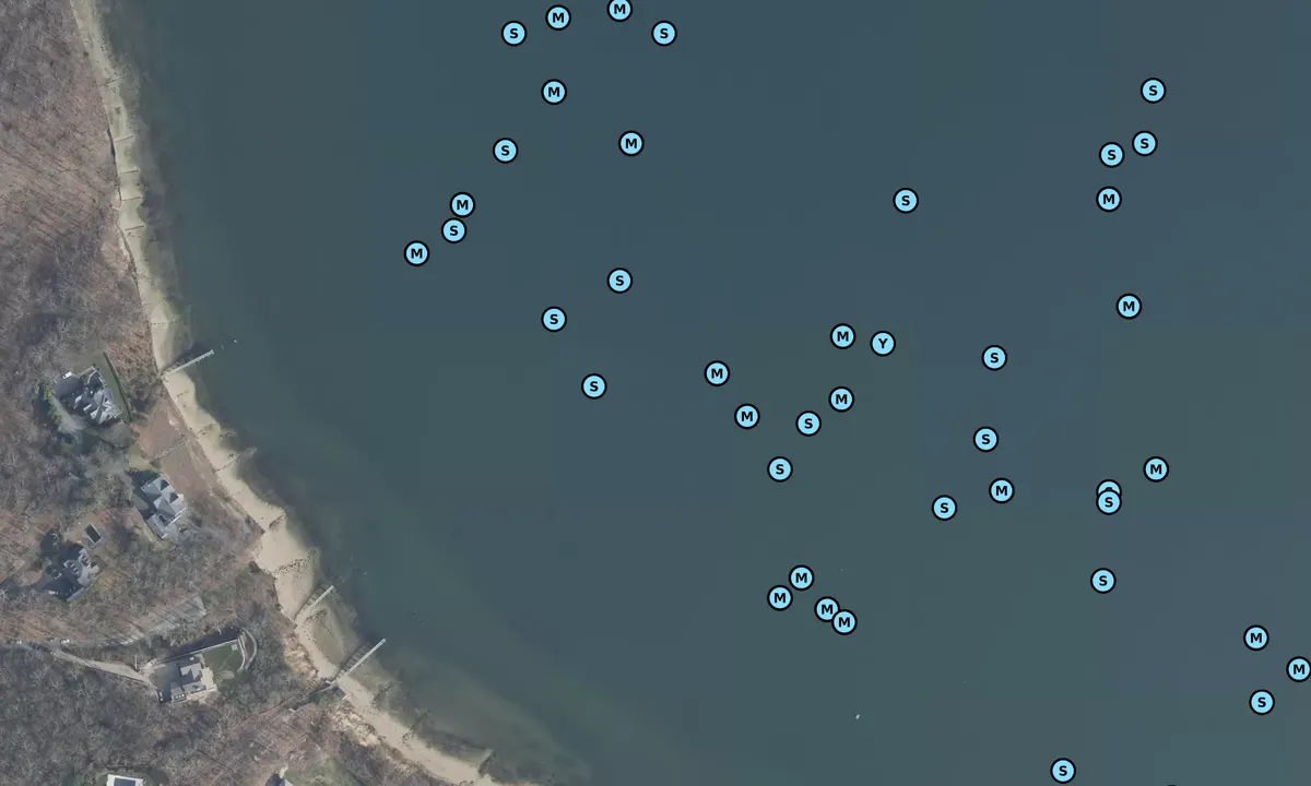 Satelite image of Cold Spring Harbor