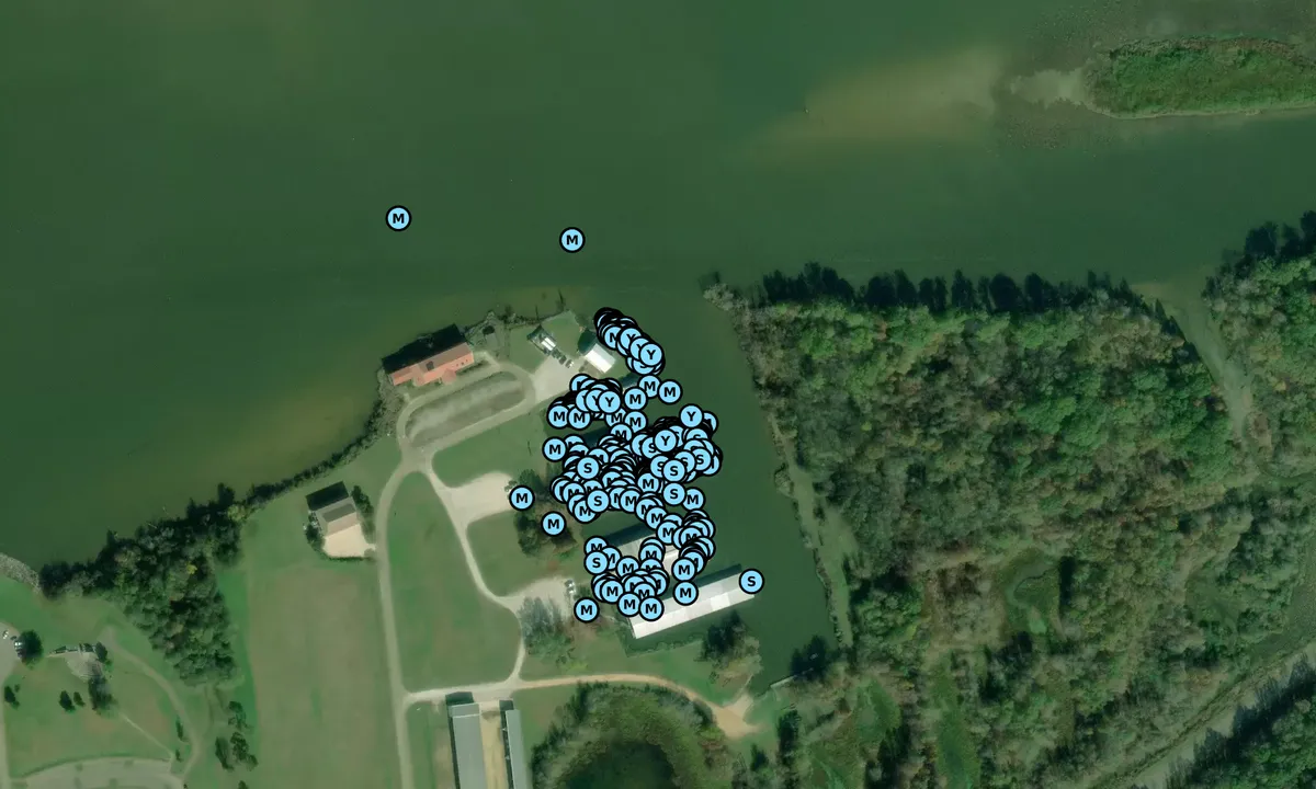 Satelite image of Columbus Marina