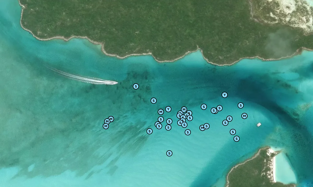 Satelite image of Compass Cay (Outer)