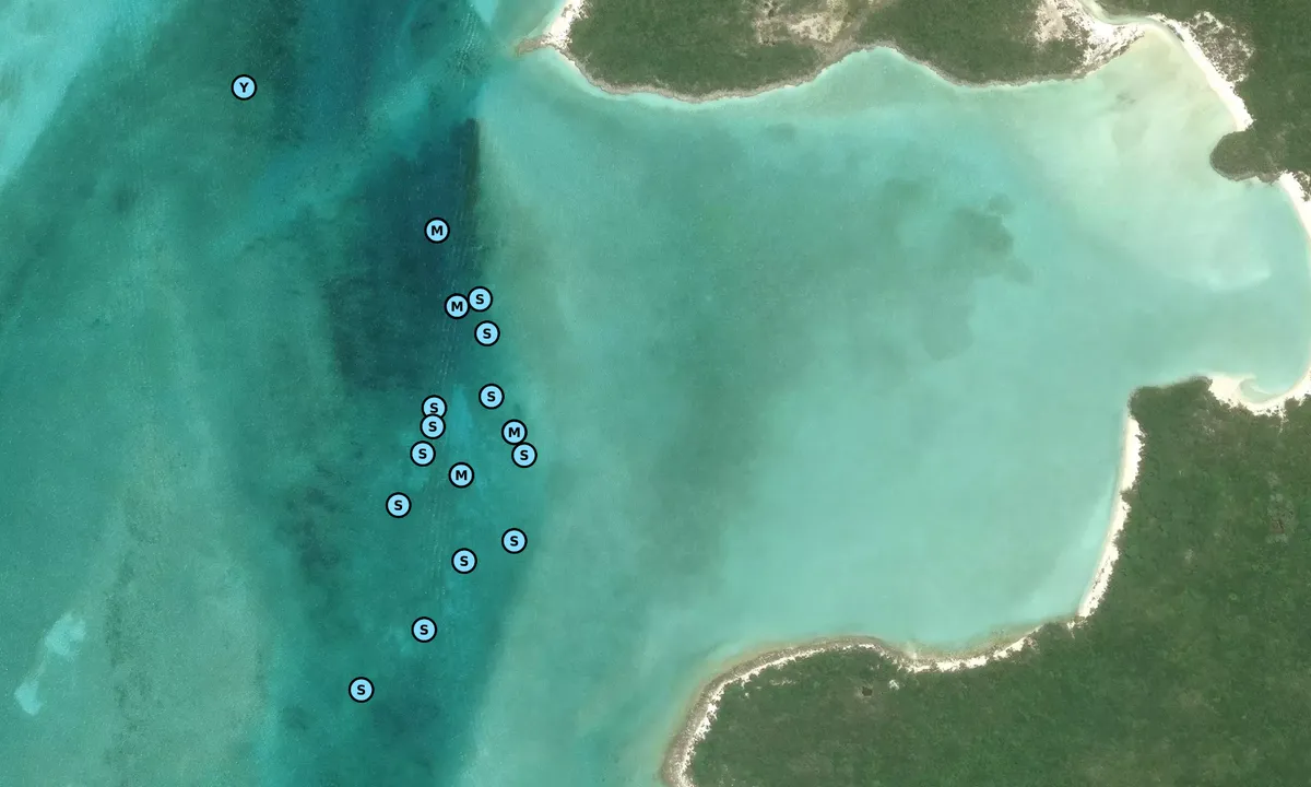 Satelite image of Compass Cay (Outer Bay)