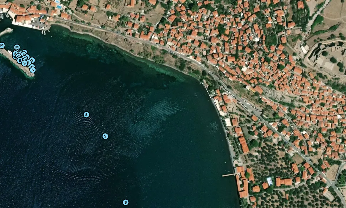 Satelite image of Congas Beach