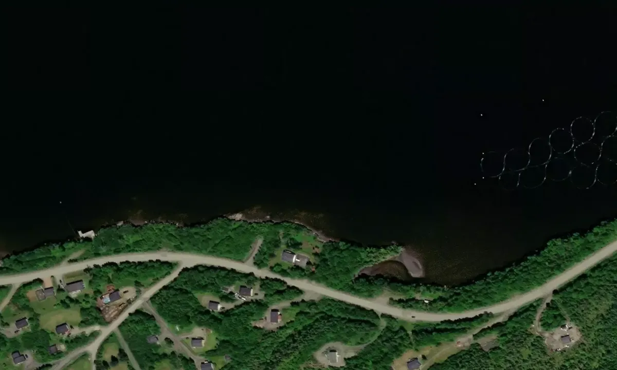 Satelite image of Conne River Reserve