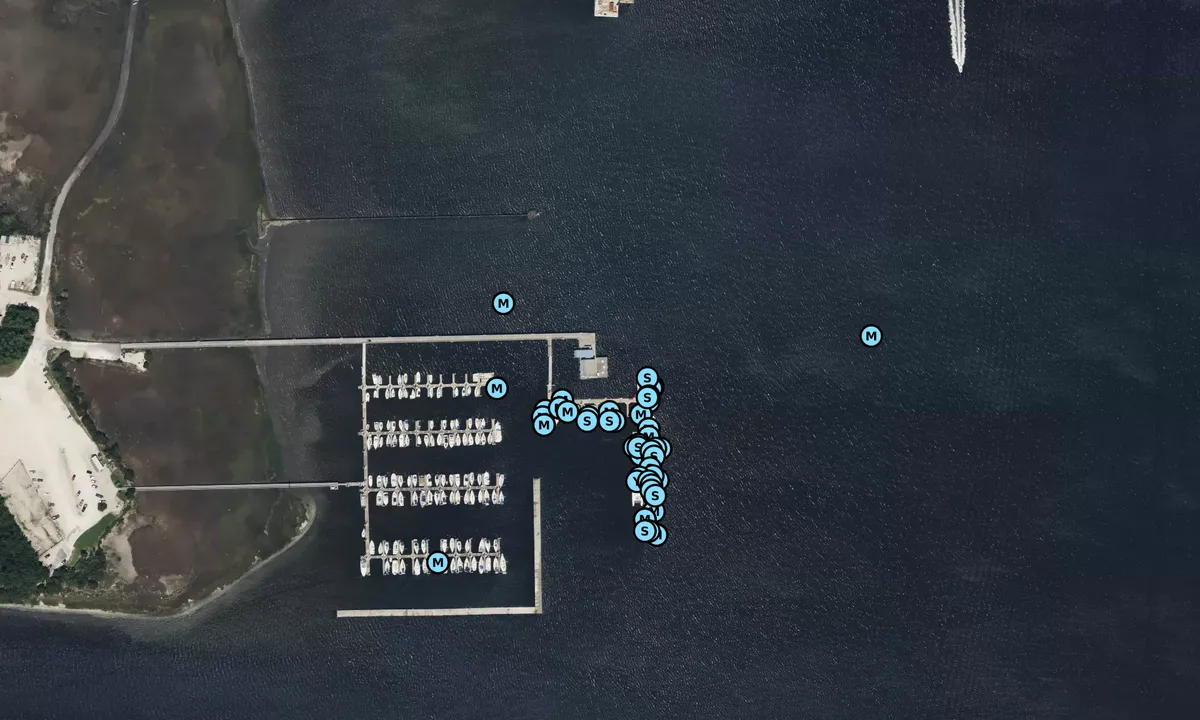 Satelite image of Cooper River Marina - Charleston