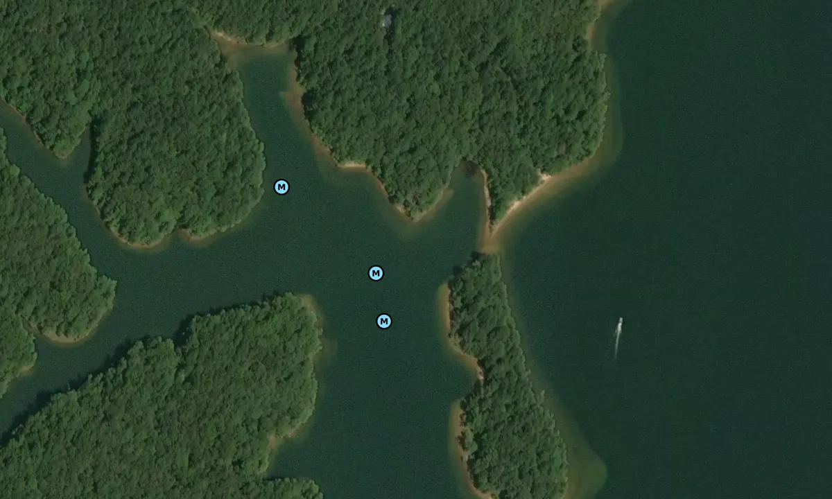 Satelite image of Coot Cove East