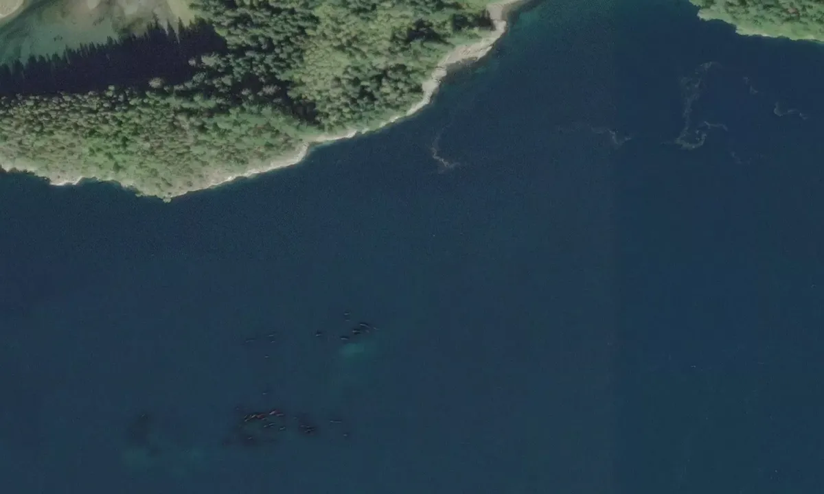 Satelite image of Cordero Lodge - Blind Channel