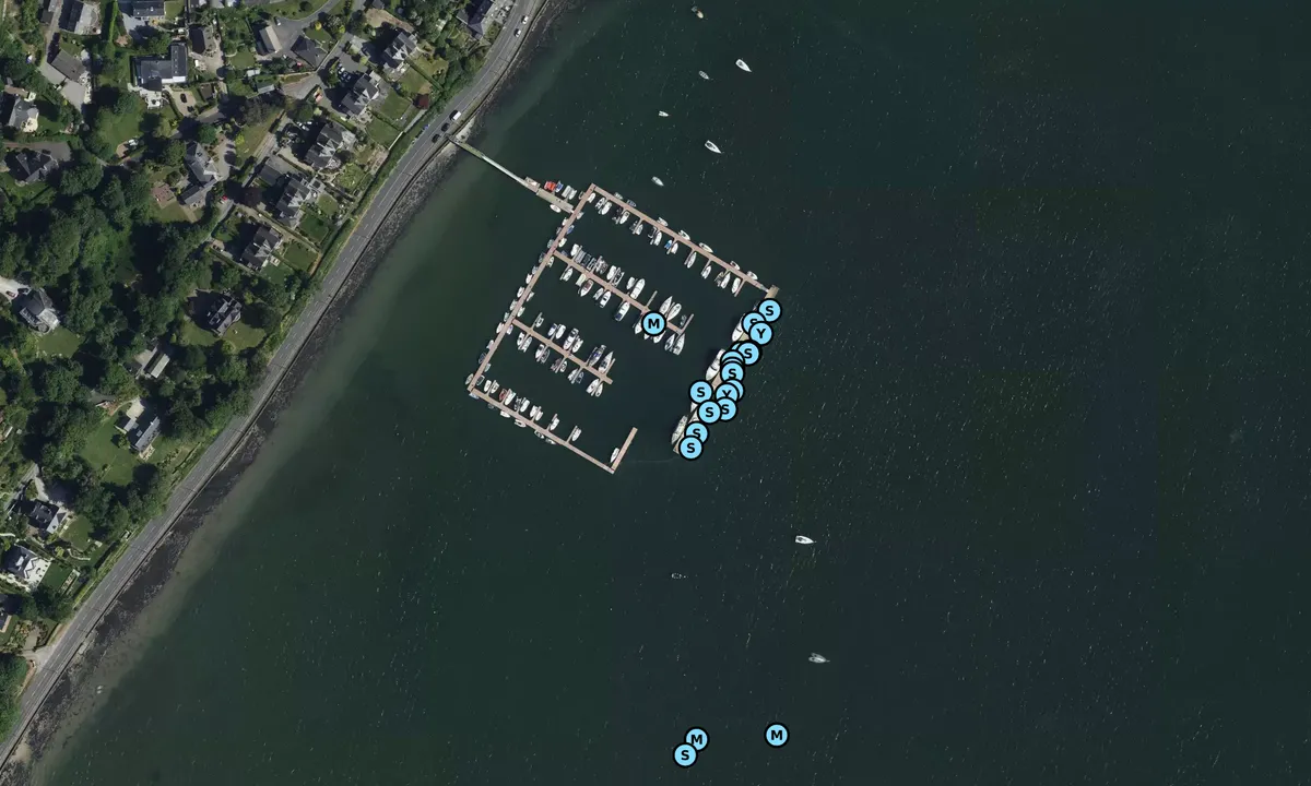 Satelite image of Cork Harbour Marina