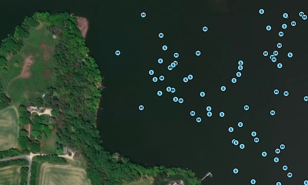 Satelite image of Corsica River - 3