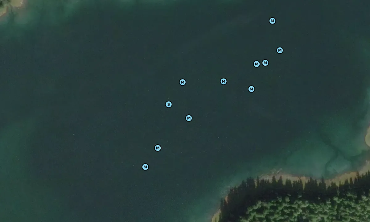 Satelite image of Cosmos Cove