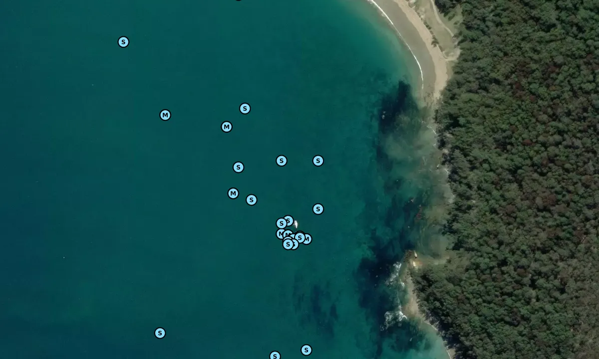 Satelite image of Courtesy Mooring