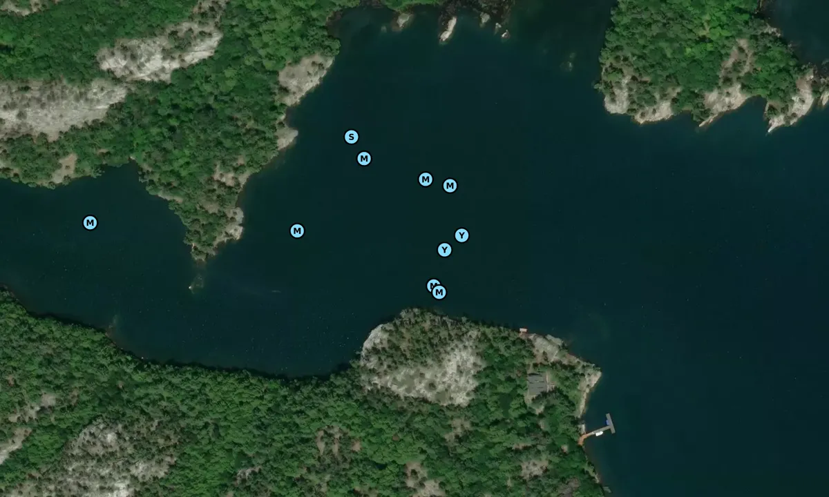 Satelite image of Covered Portage Cove (outside)