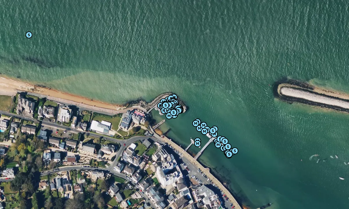 Royal Yacht Squadron Haven: Satelite image of Cowes Main Harbour Swing Moorings