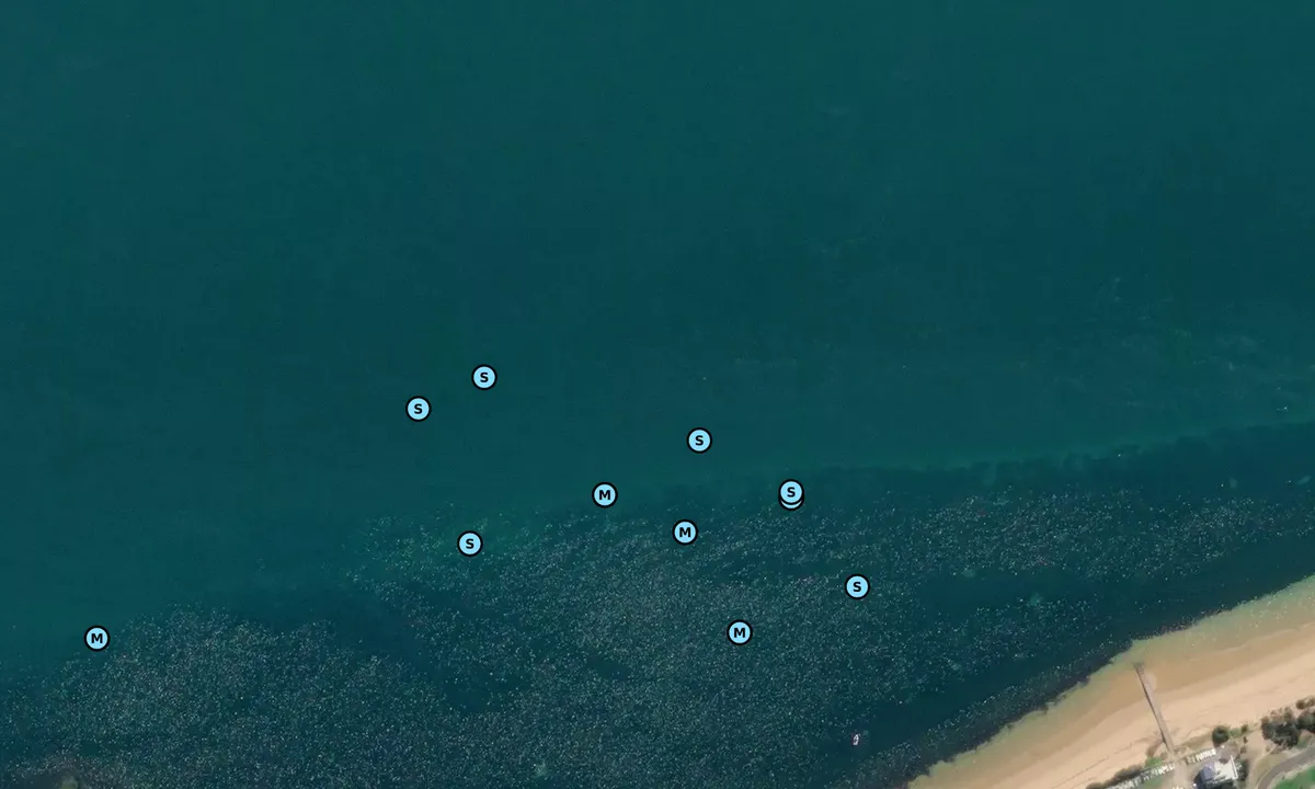 Satelite image of Cowes (moorings)