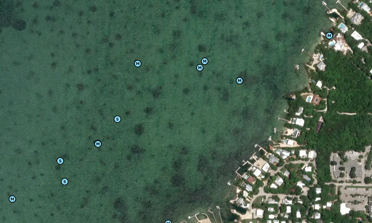 Satelite image of Cowpens North