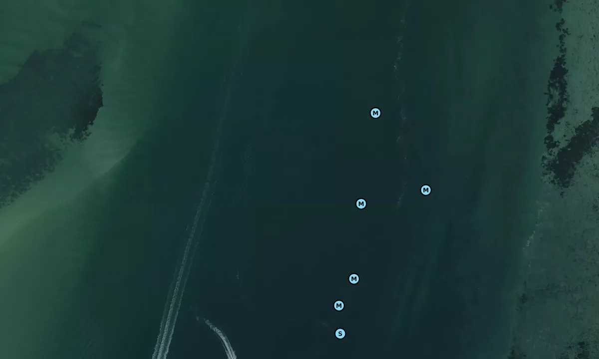 Satelite image of Cowyard