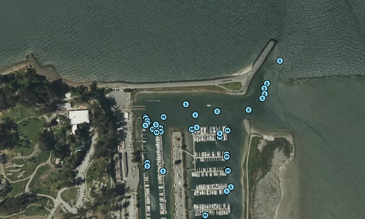 Satelite image of Coyote Point Marina - San Mateo