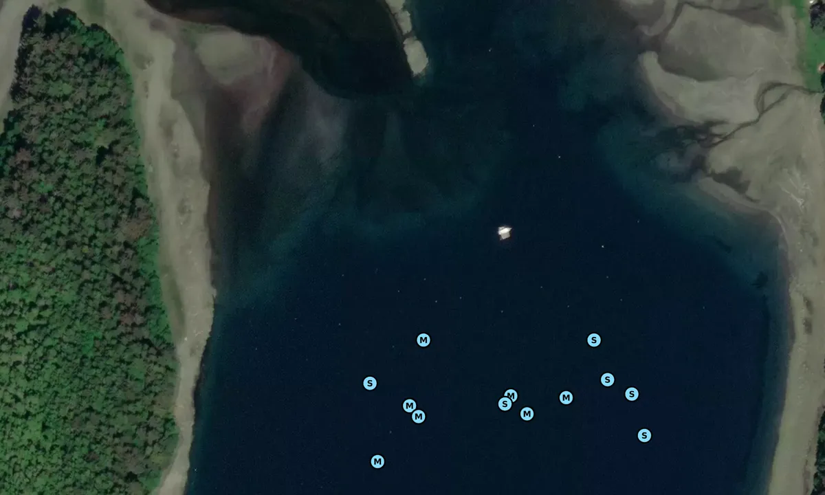 Satelite image of Crab Cove