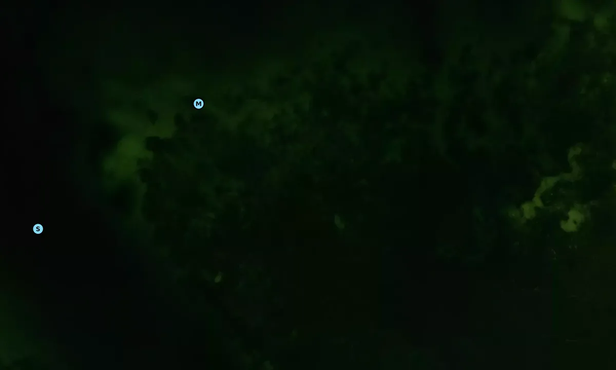 Satelite image of Crab Island West Side