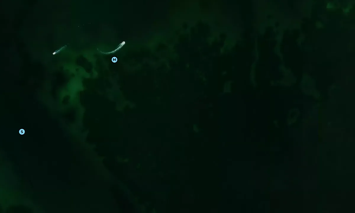 Satelite image of Crab Island West Side