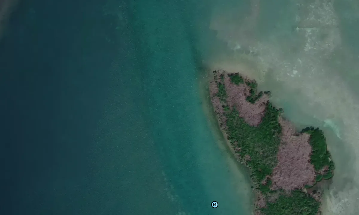 Satelite image of Crane Key