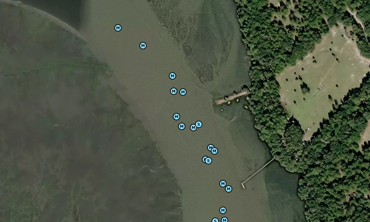 Satelite image of Crescent River - 1