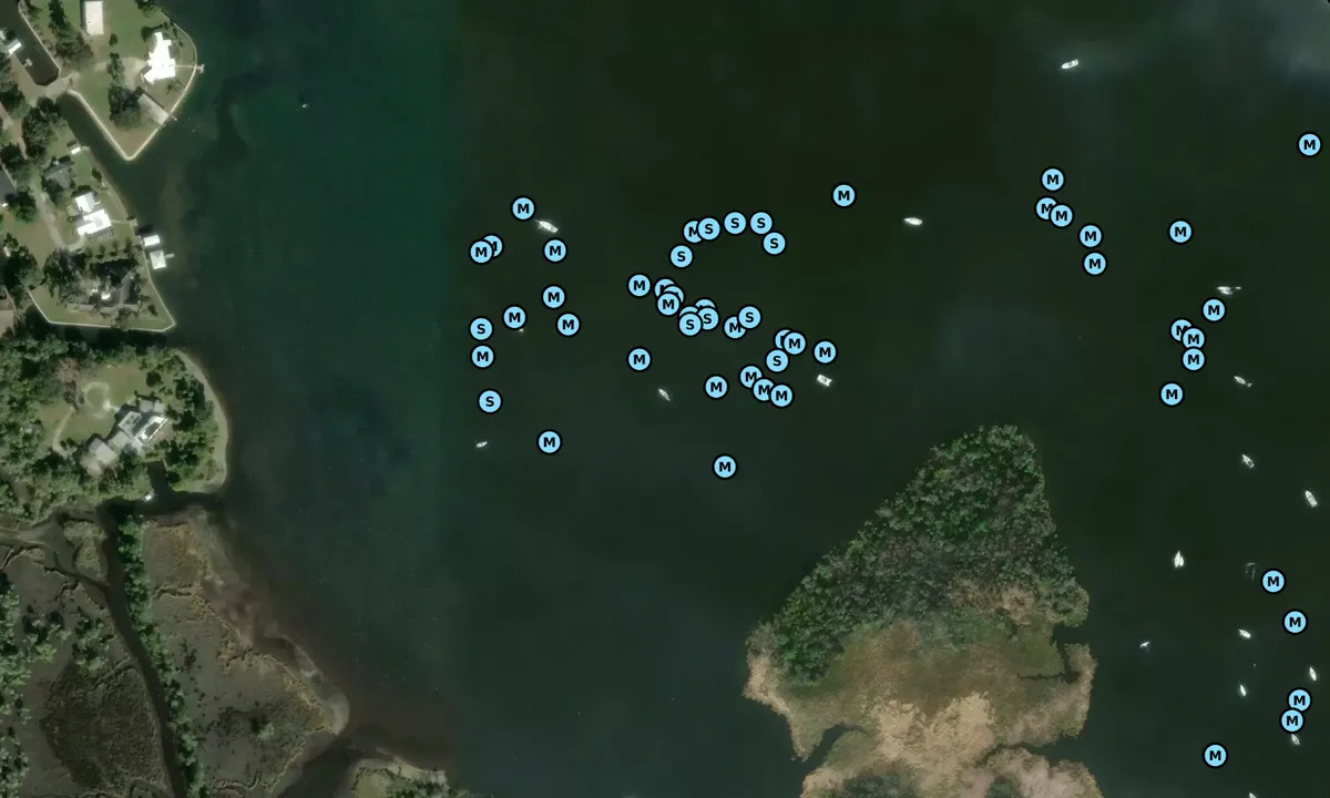 Satelite image of Crystal River - 1