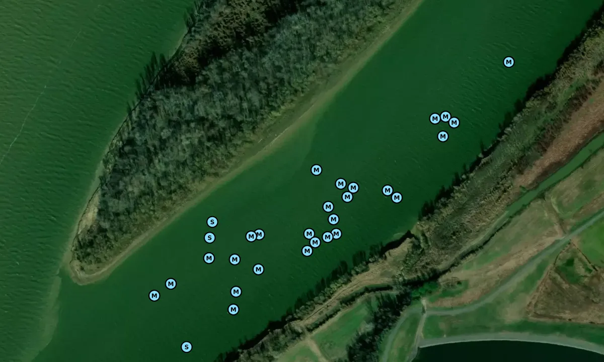 Satelite image of Cumberland Towhead