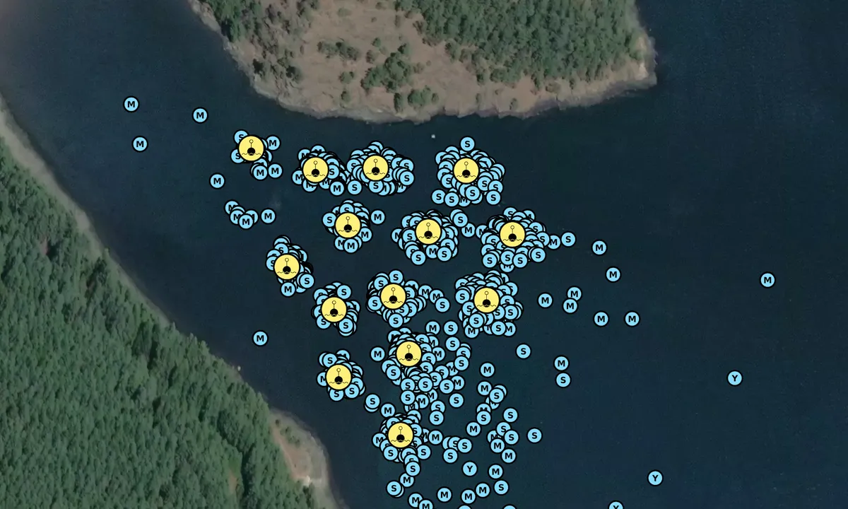Satelite image of Cypress Island - Eagle Harbor