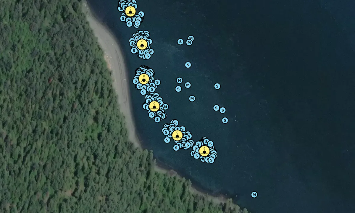 Satelite image of Cypress Island - Pelican Beach