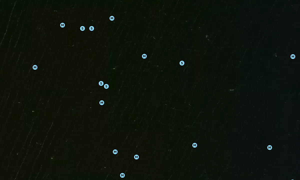 Satelite image of Cypress Swamp