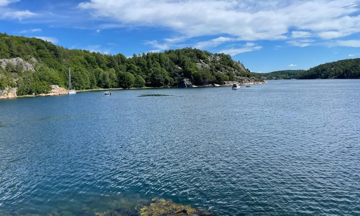 Daftö-Valö Øst: Plass for både svai og inntil fjell. Bildet viser bukta i nord-øst. Legg også merke til at man kan gå mye lenger inn i bukten, retning øst. Fint i le for vestlige vinder.