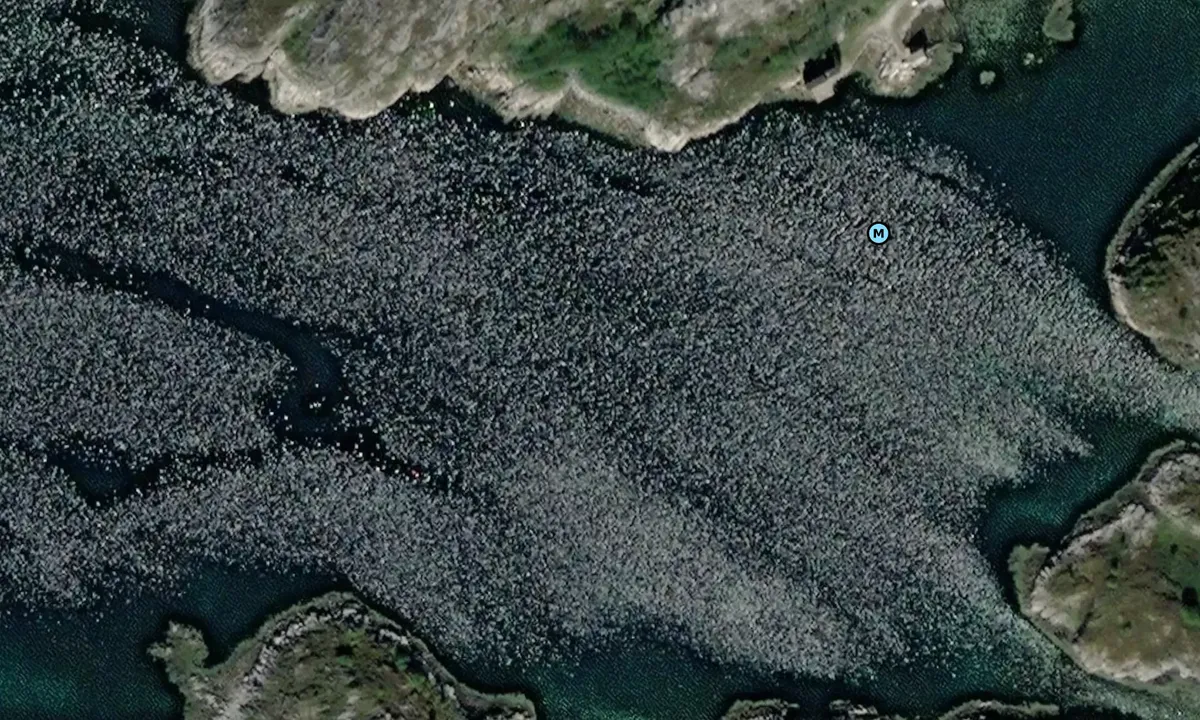 Satelite image of Dalavågen