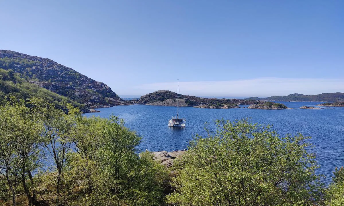 Dålibukta: {"base": "en", "no": "Fint sted ogs\u00e5 med noen trebrygger.", "se": "Trevligt st\u00e4lle ocks\u00e5 med n\u00e5gra tr\u00e4bryggor.", "en": "Nice place als with som wooden quays.", "da": "Dejligt sted med nogle tr\u00e6brygger."}