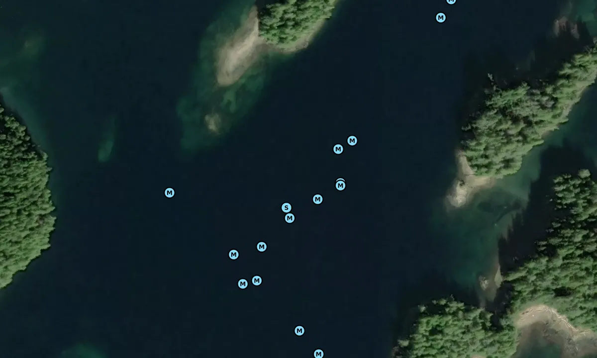 Satelite image of Dall Bay - Central