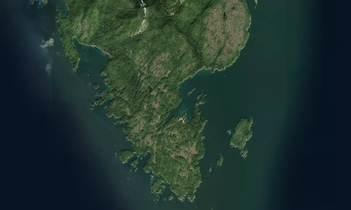 Flyfoto av Dall Bay - Head