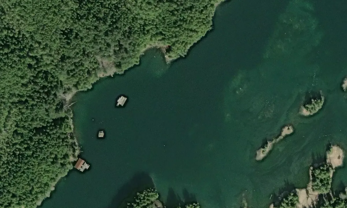 Satelite image of Dall Bay - Head